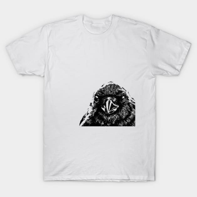 Interaction with crow T-Shirt by gui